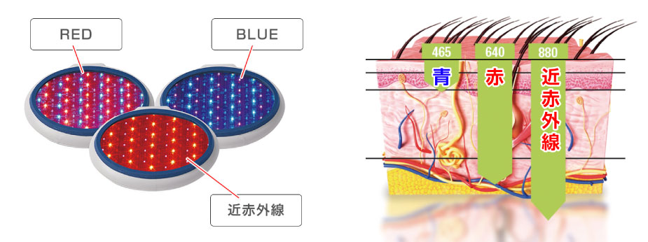 Celluma HOME（セルーマ ホーム）とは