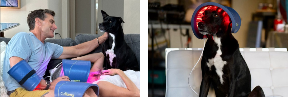 セルーマPRO（Celluma PRO）　製品画像