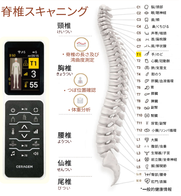 その日の体調で選べる17種のプログラム