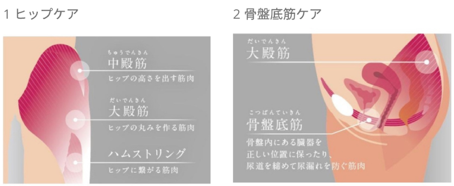 BIJIRISのヒップケアと骨盤底筋ケアの2つのアプローチ