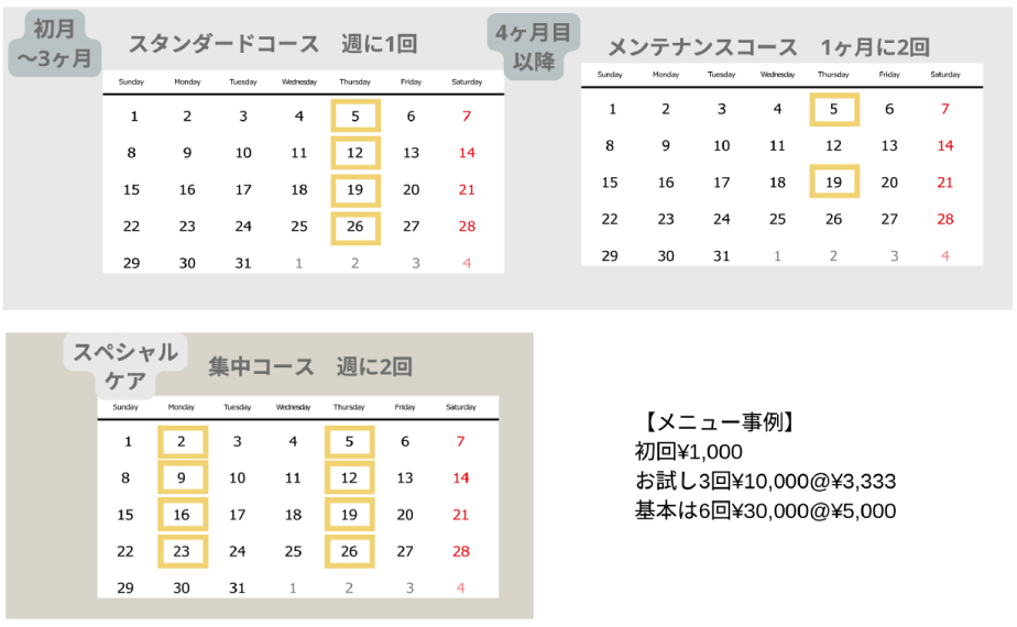 BIJIRISのスタンダードコース・メンテナンスコース・集中コースの利用例