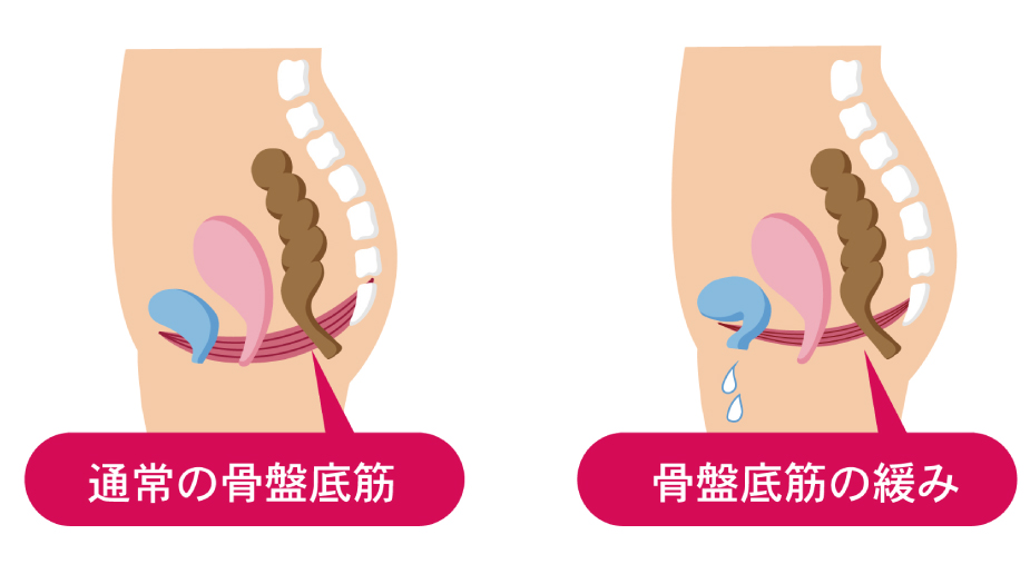 骨盤底筋に着目した新しいフェムケア習慣