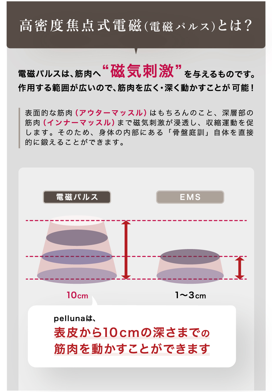 pelluna（ペルーナ）｜骨盤底筋が緩むと